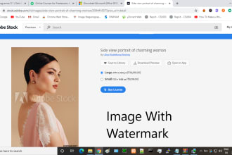 anuragv777's task image 2