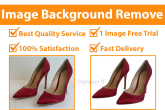olympusit's task image 1