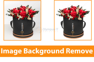 olympusit's task image 3