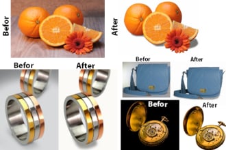 sudebmazumder43's task image 2