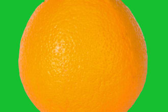 joyitaislam's task image 5