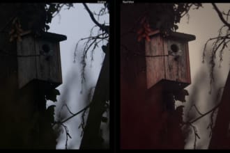 hugobruno's task image 2