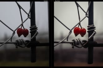 hugobruno's task image 3
