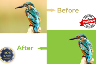 designermoshiur's task image 2