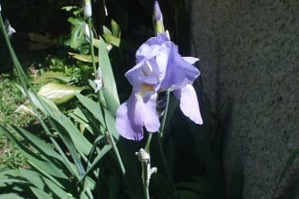 ginkgosoft's task image 3
