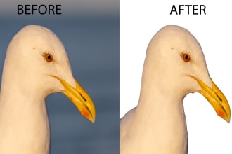 mehusworld's task image 3