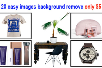 manikdesign86's task image 1