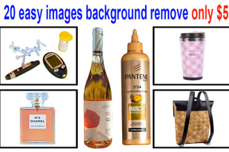 manikdesign86's task image 2