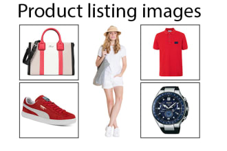 mehedidesigner's task image 3