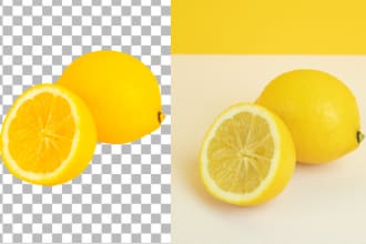 daloyarhassan's task image 3