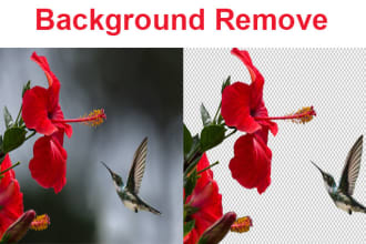 sirajulopl's task image 1