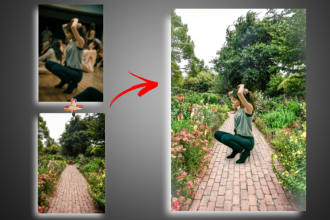 hprofessional's task image 2
