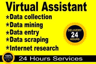 dataentrytask's task image 1
