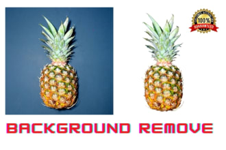 durjoyhajra's task image 1