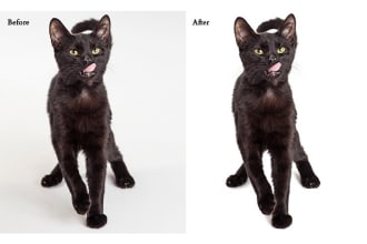 arifur's task image 3
