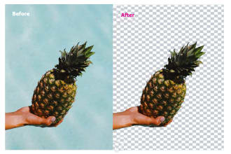 shahidul92's task image 3