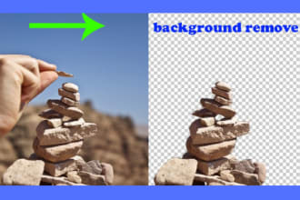 masukahmed's task image 4