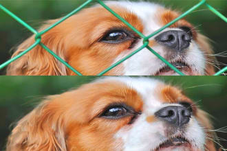 json121718's task image 1