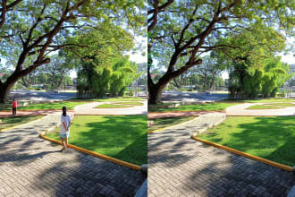 json121718's task image 2