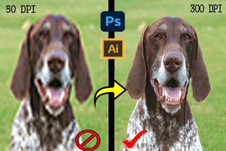 rakibulislam98's task image 1