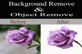 moni78's task image 7