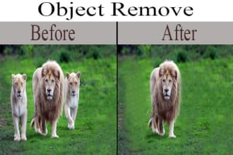 moni78's task image 3