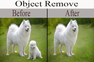 moni78's task image 4