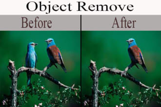 moni78's task image 5
