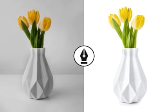 designpixel24's task image 1