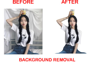 saifulgdesigner's task image 5