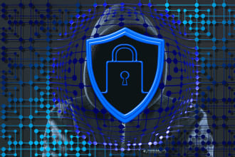 wpdevagency99's task image 1