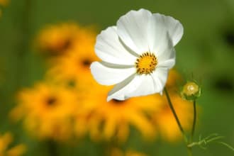 pranavagar24's task image 1