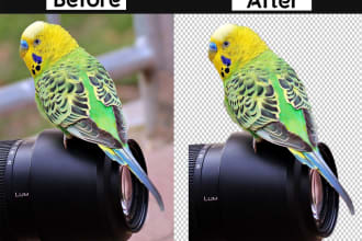 sujanm20's task image 5