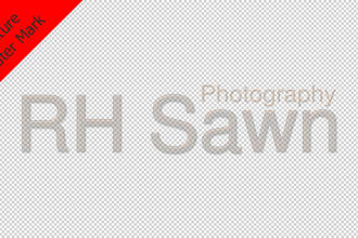 rhsawn's task image 3