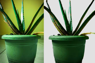 vivek786's task image 3