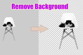 sumonchandra's task image 5
