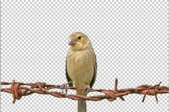 ziaulhaquezidan's task image 1