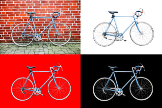 fleasin's task image 3