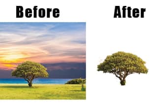 omarkhanasagraf's task image 4
