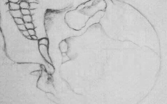 image slot