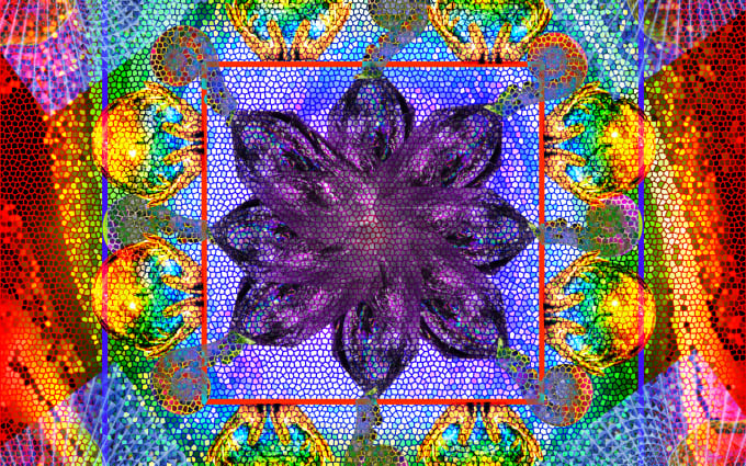 image slot
