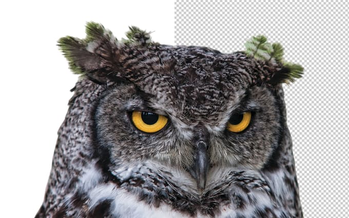 image slot