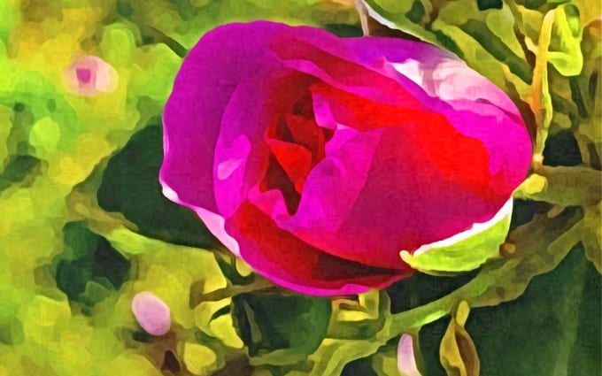 image slot