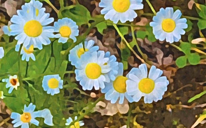 image slot