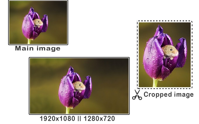 image slot