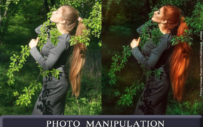 image slot