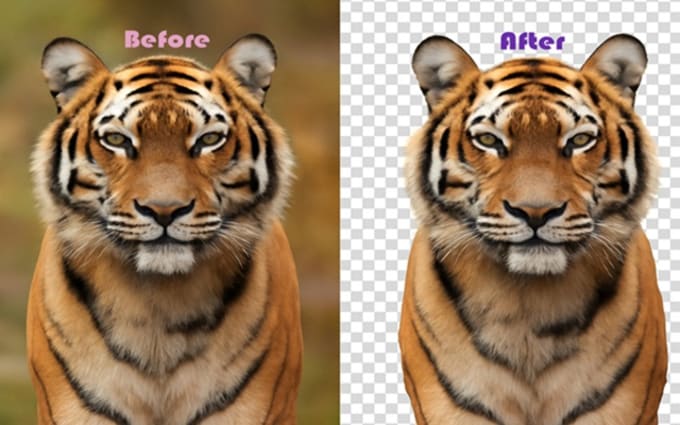 image slot