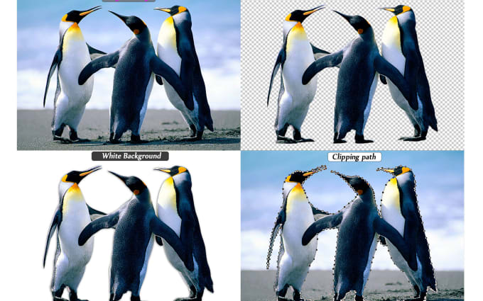 image slot