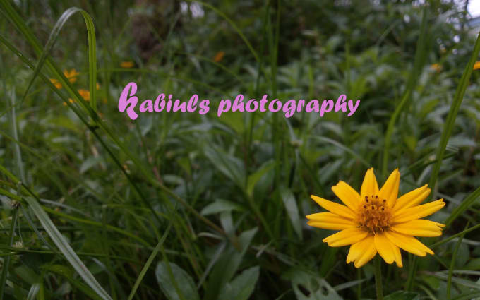 image slot