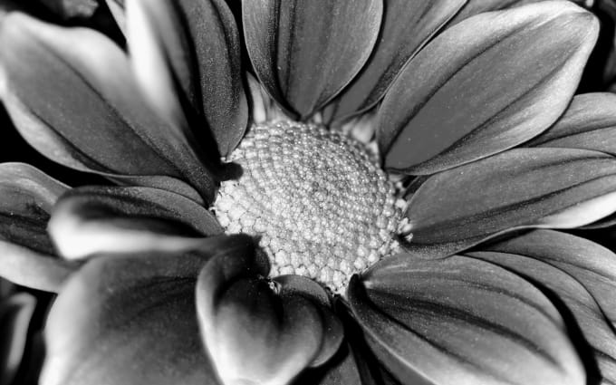 image slot